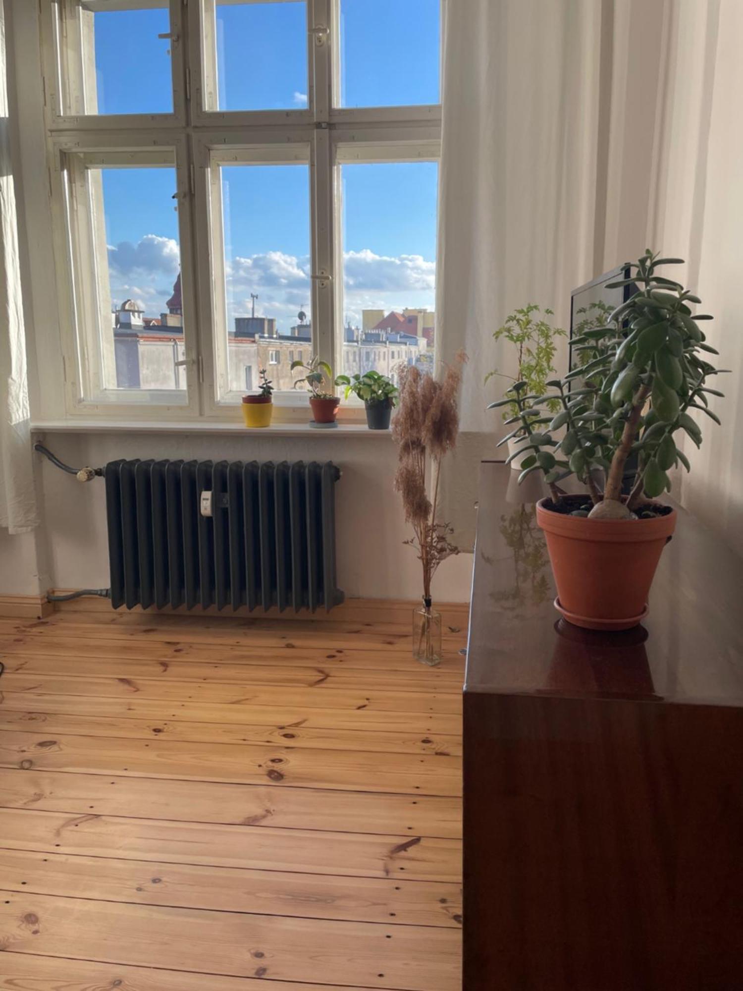 Sentymenty - Apartamenty W Kamienicy Na Mickiewicza Stary Toruń Buitenkant foto